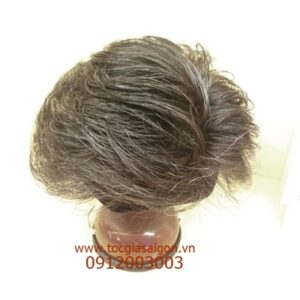 Mái Hói Nam SD - Hình ảnh 10